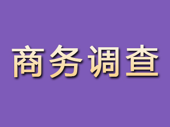 那曲商务调查